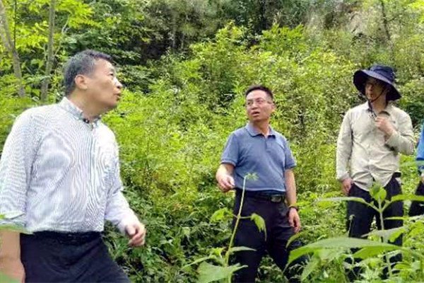 041688431521158464.jpeg 3.jpg